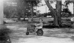 Rudlands Supermarket 1950s